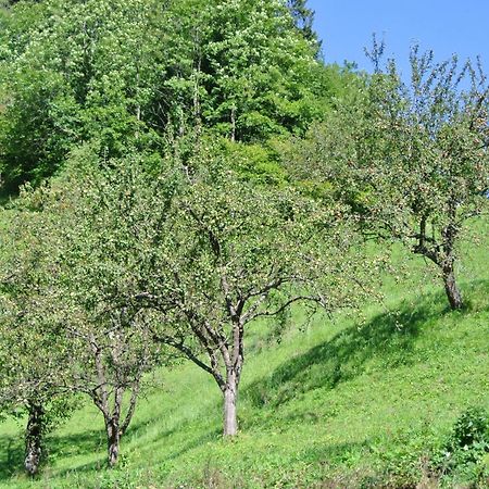 Apartments Tourist Farm Storman With Ev Ch-Station Tržič المظهر الخارجي الصورة