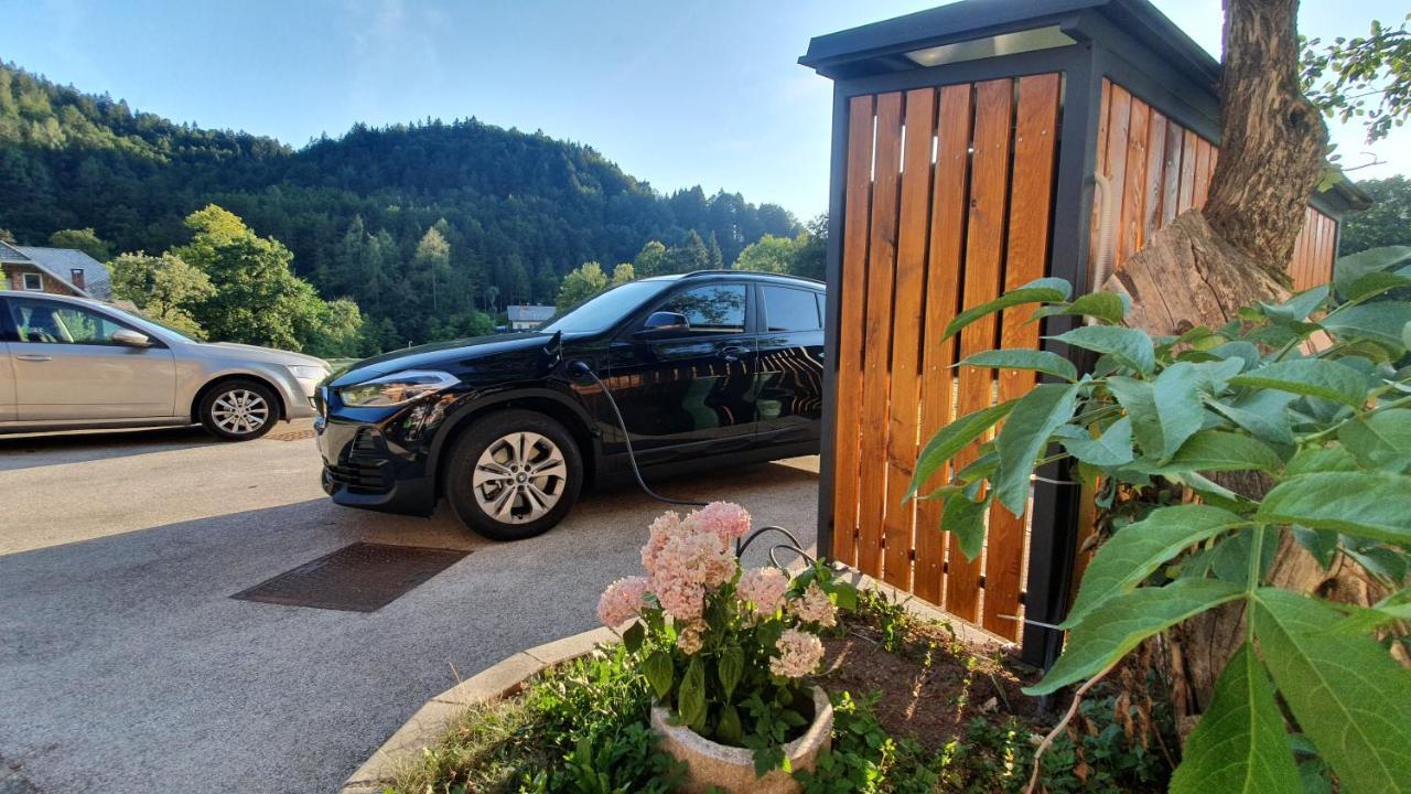 Apartments Tourist Farm Storman With Ev Ch-Station Tržič المظهر الخارجي الصورة