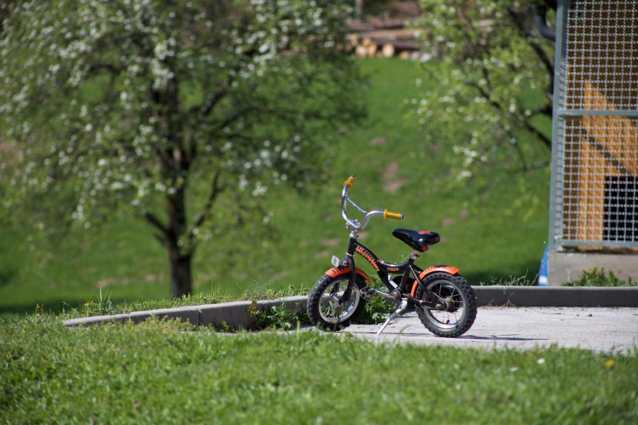 Apartments Tourist Farm Storman With Ev Ch-Station Tržič المظهر الخارجي الصورة